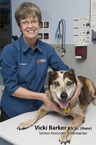 All Animal Veterinary Services Pty Ltd - Vet Australia 3