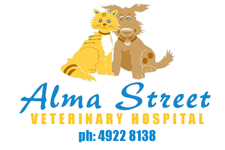 Great Keppel Island QLD Vet Australia
