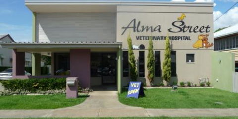 Alma Street Veterinary Hospital - Vet Australia 1
