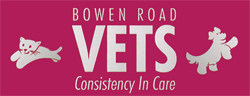Bowen Road Vets - Vet Australia 0