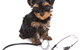 Bowen Road Vets - thumb 1