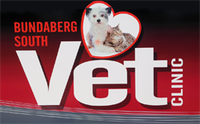Bundaberg South Vet Clinic