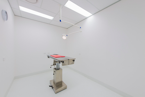 Bundaberg South Vet Clinic - Vet Australia 13