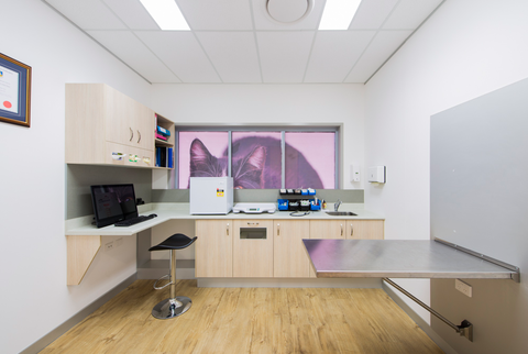 Bundaberg South Vet Clinic - Vet Australia 14