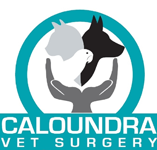 Caloundra Vet - Vet Australia