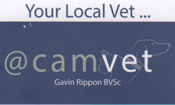 Camvet - Vet Australia 0