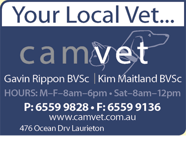 Camvet - Vet Australia 3