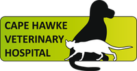 Book Forster Accommodation Vacations Vet Australia Vet Australia