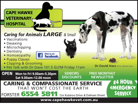 Cape Hawke Veterinary Hospital - Vet Australia 1