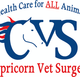 Capricorn Vet Surgery - Vet Australia