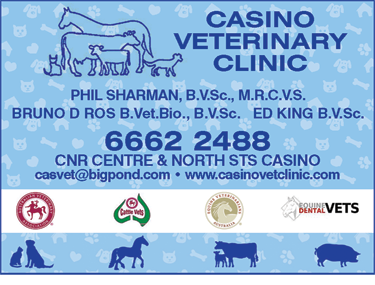 Casino Veterinary Clinic - Vet Australia 1