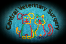 Mareeba QLD Vet Australia