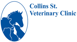 Kiama NSW Vet Australia