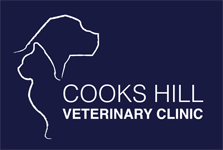 The Hill NSW Vet Australia