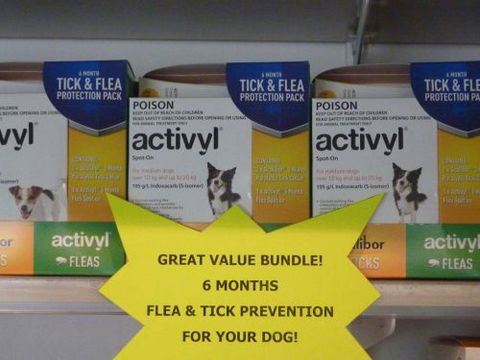 Cooroy Veterinary Surgery - Vet Australia 4