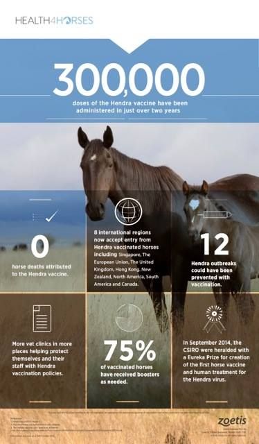 Cooroy Veterinary Surgery - Vet Australia 5
