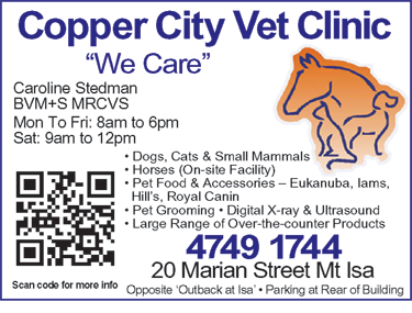 Copper City Vet Clinic - Vet Australia 1