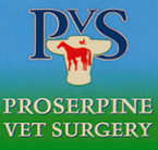 Faye McPherson - Vet Australia
