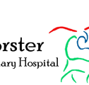 Forster Veterinary Hospital - Vet Australia
