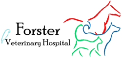 Forster Veterinary Hospital - Vet Australia 0