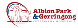 Gerringong NSW Vet Australia