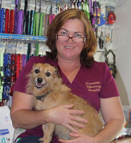Girraween Veterinary Hospital - Vet Australia 2