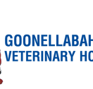Goonellabah Veterinary Hospital - Vet Australia