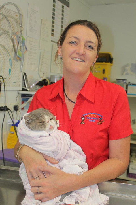 Goonoo Goonoo Road Veterinary Clinic - Vet Australia 3