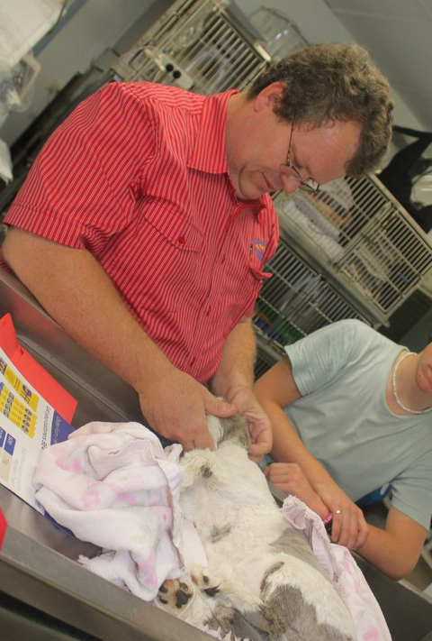 Goonoo Goonoo Road Veterinary Clinic - Vet Australia 4