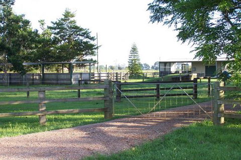 Grafton Veterinary Clinic - Vet Australia 9