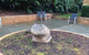 Green Point Veterinary Hospital - thumb 3