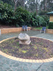 Green Point Veterinary Hospital - Vet Australia 3