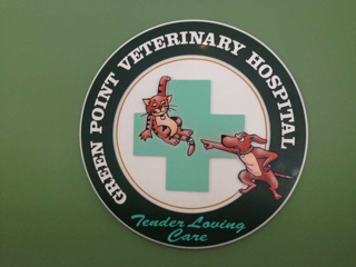 Green Point Veterinary Hospital - Vet Australia 5