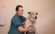 Gympie Veterinary Services - thumb 2