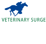 Hack Martin Veterinary Surgeon - Vet Australia