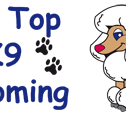 Hill Top K9 Grooming - Vet Australia
