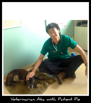 Howard Springs Veterinary Clinic - Vet Australia 2