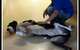 Howard Springs Veterinary Clinic - thumb 3
