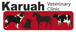 Karuah NSW Vet Australia