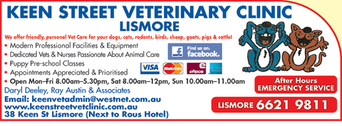 Keen Street Veterinary Clinic - Vet Australia 5
