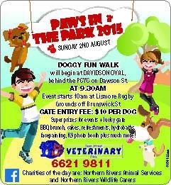 Keen Street Veterinary Clinic - Vet Australia 11