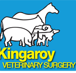 Kingaroy Veterinary Surgery - Vet Australia
