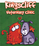 Chinderah NSW Vet Australia