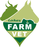 Nerong NSW Vet Australia