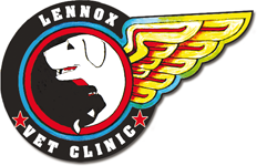 Lennox Head Vet Clinic - Vet Australia 0
