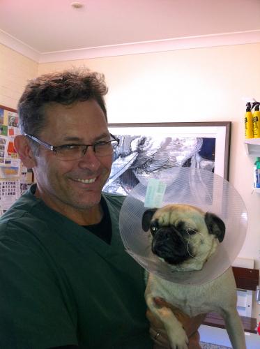 Lennox Head Vet Clinic - Vet Australia 1