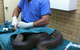 Lennox Head Vet Clinic - thumb 2