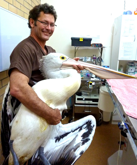 Lennox Head Vet Clinic - Vet Australia 3