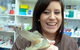 Lennox Head Vet Clinic - thumb 16