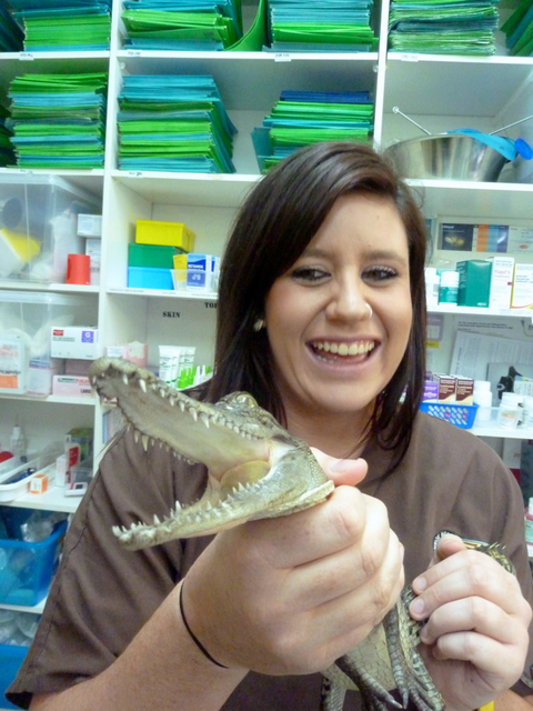 Lennox Head Vet Clinic - Vet Australia 16